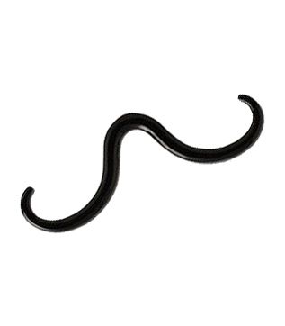 MOUSTACHE POUR SEPTUM